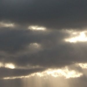 Meet your Posher, Evan