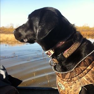 Meet your Posher, Barkley