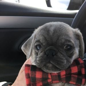 Meet your Posher, Maribeth