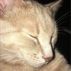 Meet your Posher, Ricky