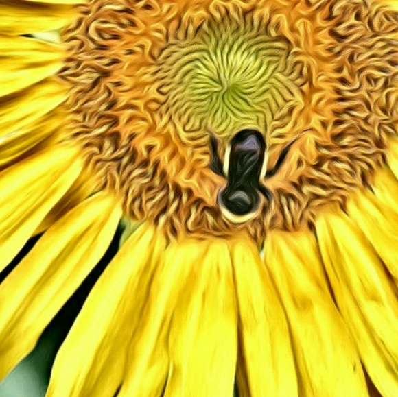 Meet your Posher, Crystal - Picture 1 of 1