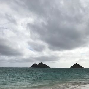 Meet your Posher, Dominic