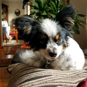 Meet your Posher, Courtbey