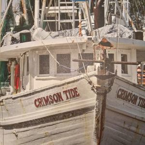 Meet your Posher, Jason