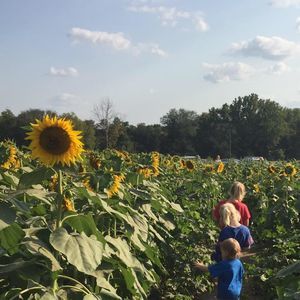 Meet your Posher, Julie