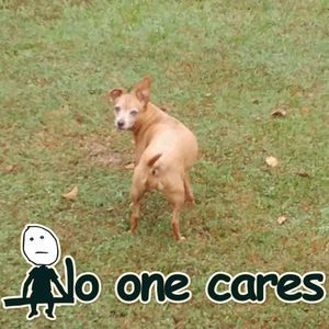 Meet your Posher, Sandra