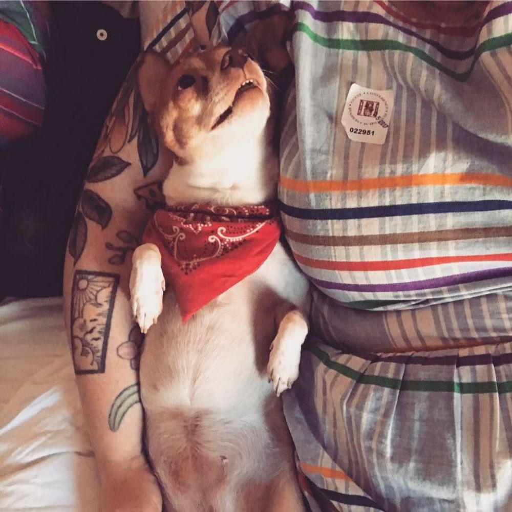 Meet your Posher, Erin