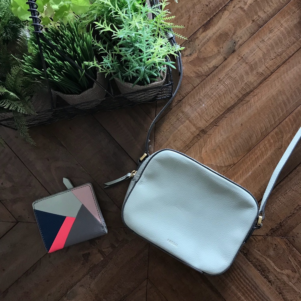 Small NWT Fossil crossbody and matching wallet