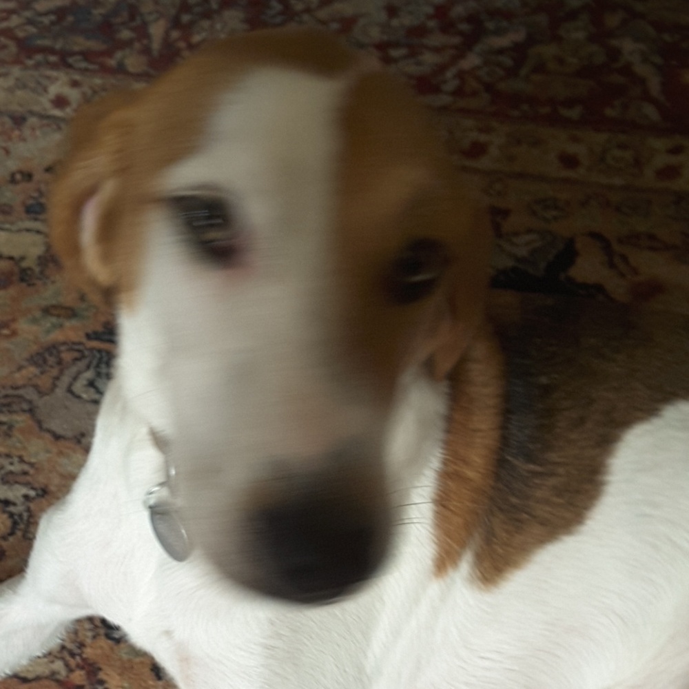 Meet your Posher, Jeanne