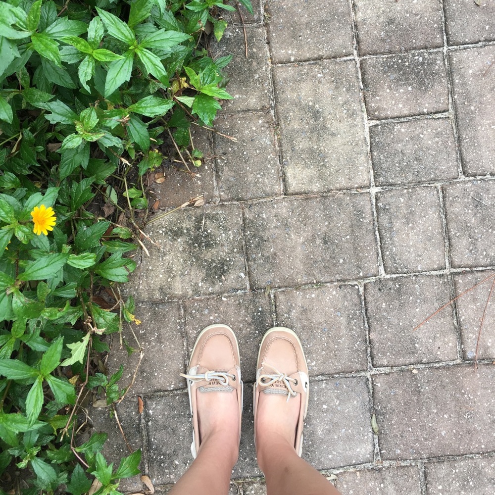 Sperry Angelfish boat shoes