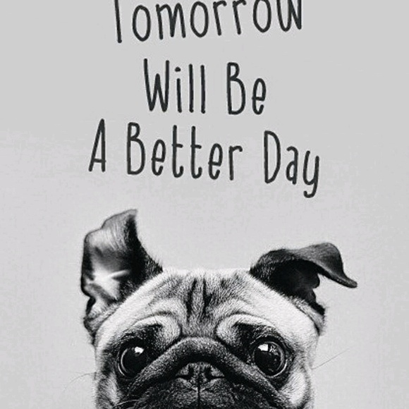 Meet your Posher, Jennifer - Picture 1 of 1