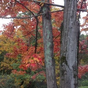 Meet your Posher, Debra