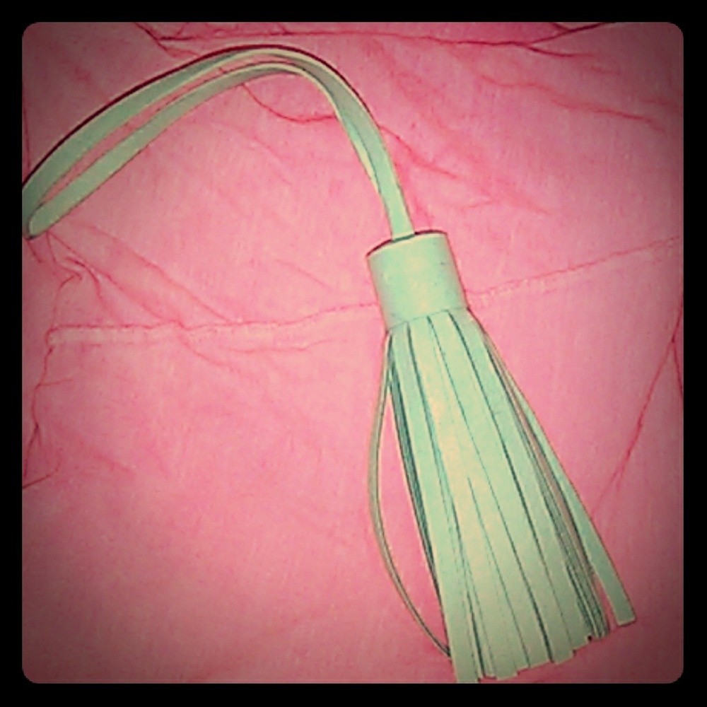 Luggage tassels