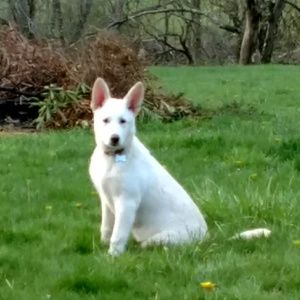 Meet your Posher, Keith