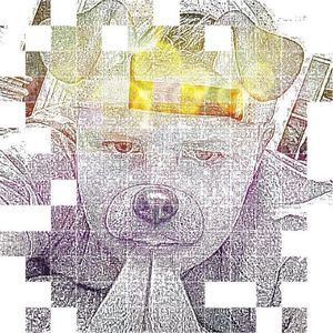 Meet your Posher, Braxton