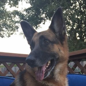 Meet your Posher, Meghan