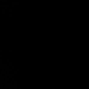 Meet your Posher, Misty