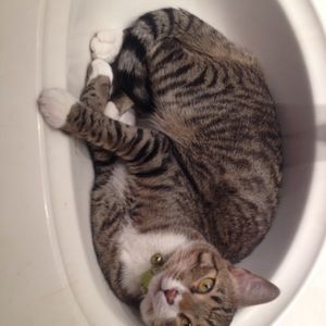 Meet your Posher, Breanna