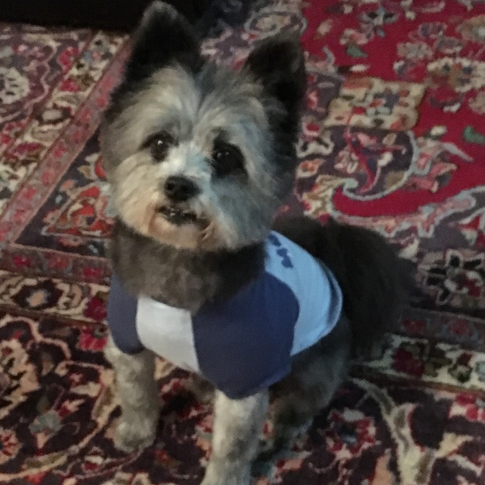 Just posing for Mommy