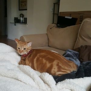 Meet your Posher, Sasha