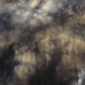 Meet your Posher, Ivy