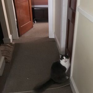 Meet your Posher, Joan