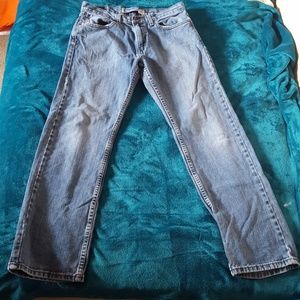 Denizen from Levi's Men's 32x32