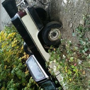 Meet your Posher, Bryce