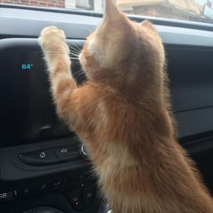 Meet your Posher, J.a.