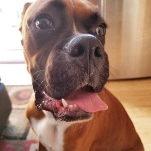 Meet your Posher, Isamara