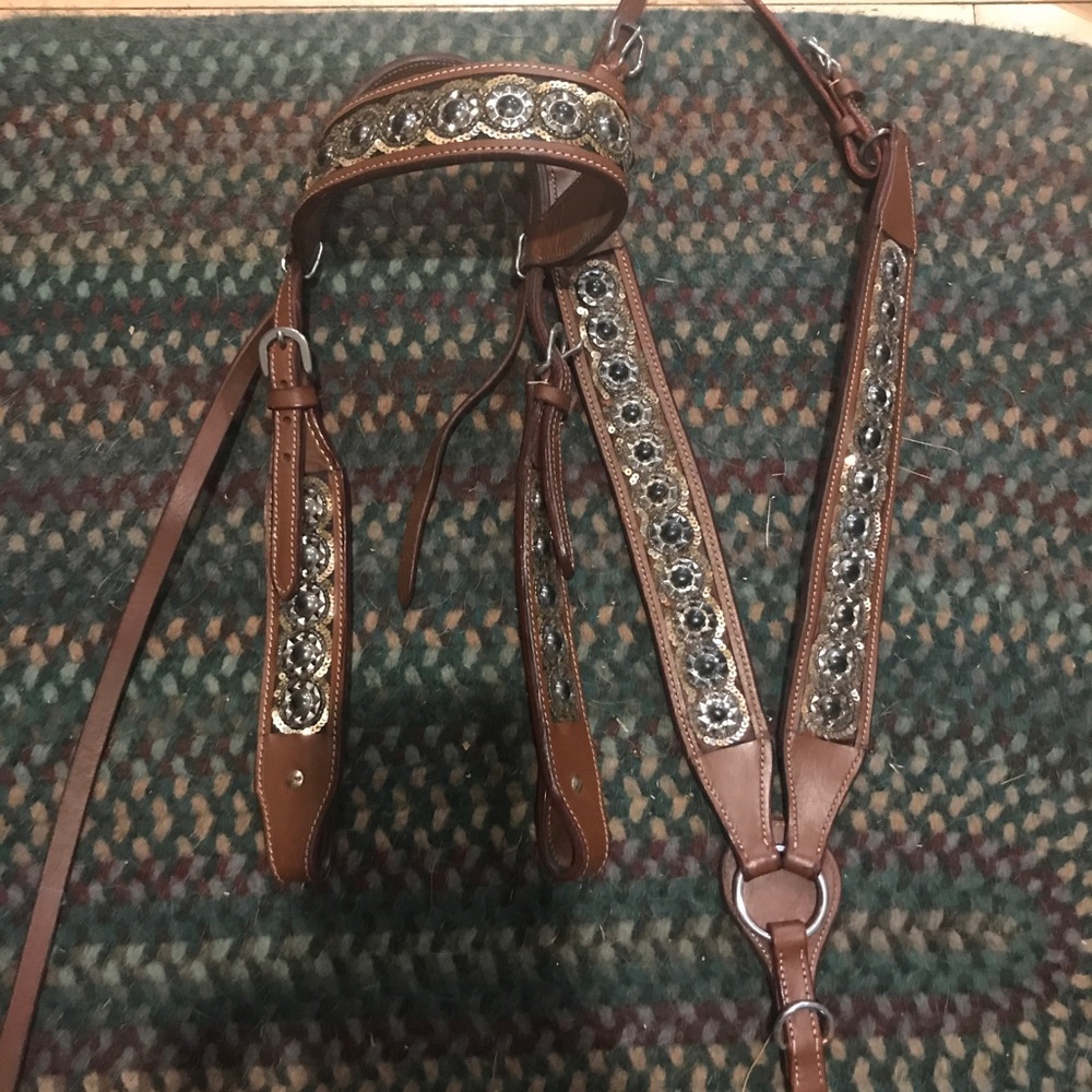 💥BRAND NEW💥 Bridle and Breast Collar