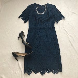 Ann Taylor Botanical Lace Sheath Dress in Blue