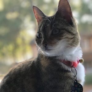 Meet your Posher, Skylar