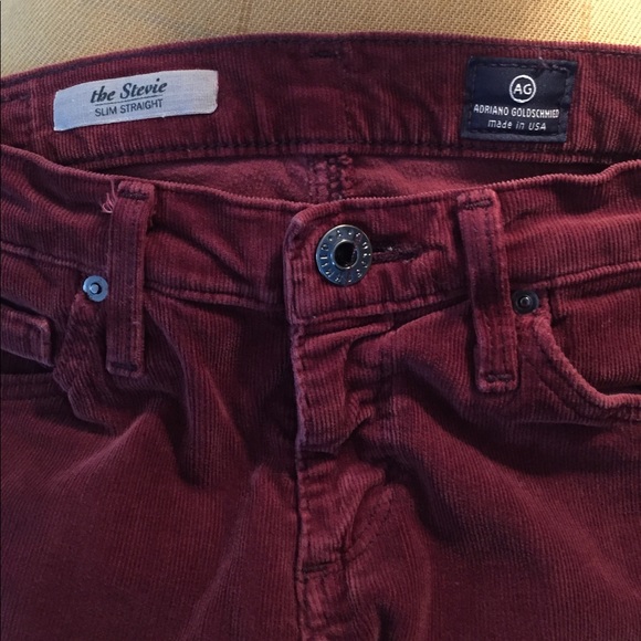 Anthropologie Adriano Goldschmied skinny cords 25r - Picture 3 of 5