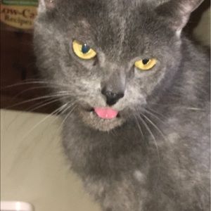 Meet your Posher, Jaxon