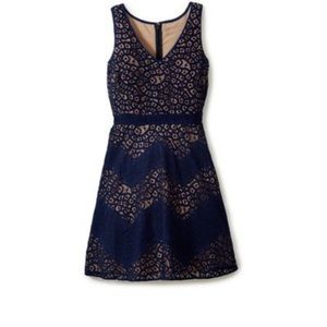 The Limited Lace A Line Dress