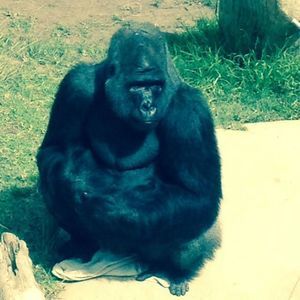 Meet your Posher, Colin