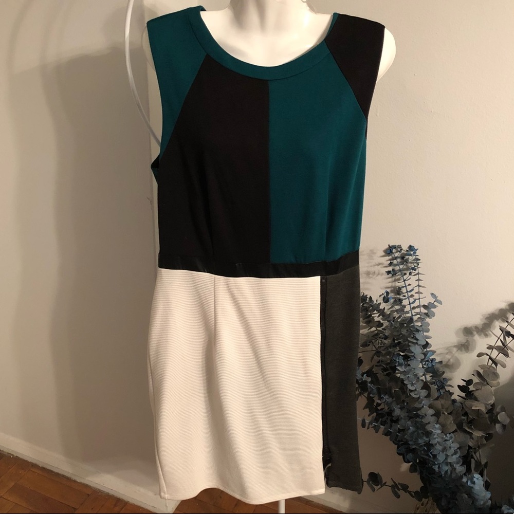 NWT Walter Baker Dress SZ L