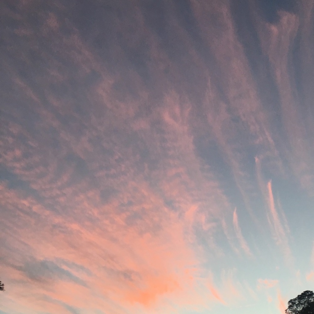 Meet your Posher, Jen