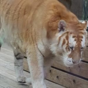 Meet your Posher, Debra