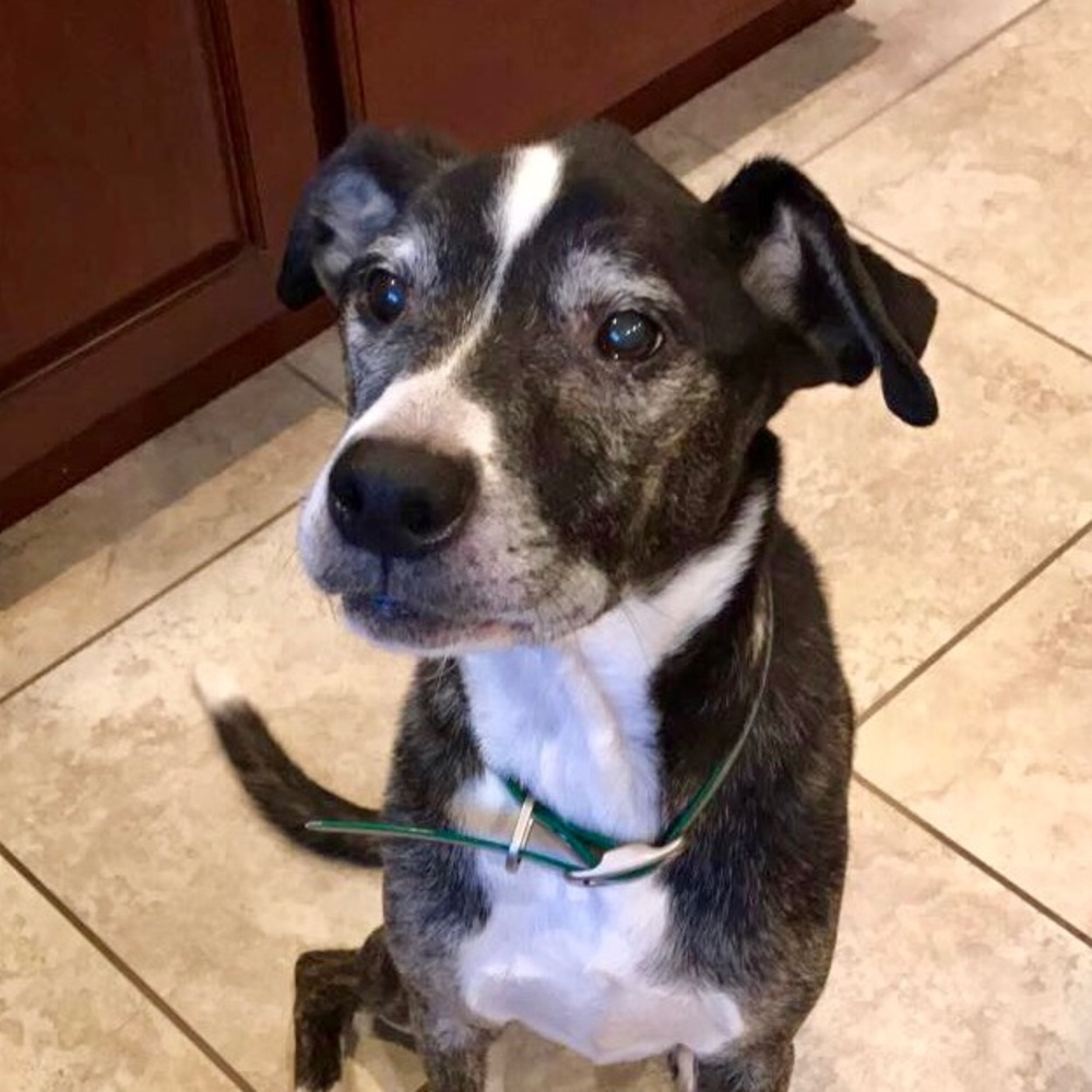 Meet your Posher, Joanna