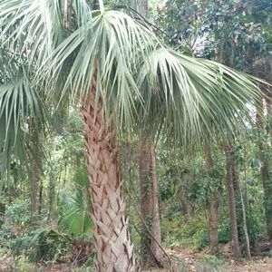 Meet your Posher, Ben