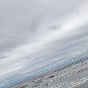 Meet your Posher, Abigail