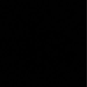 Meet your Posher, Ava