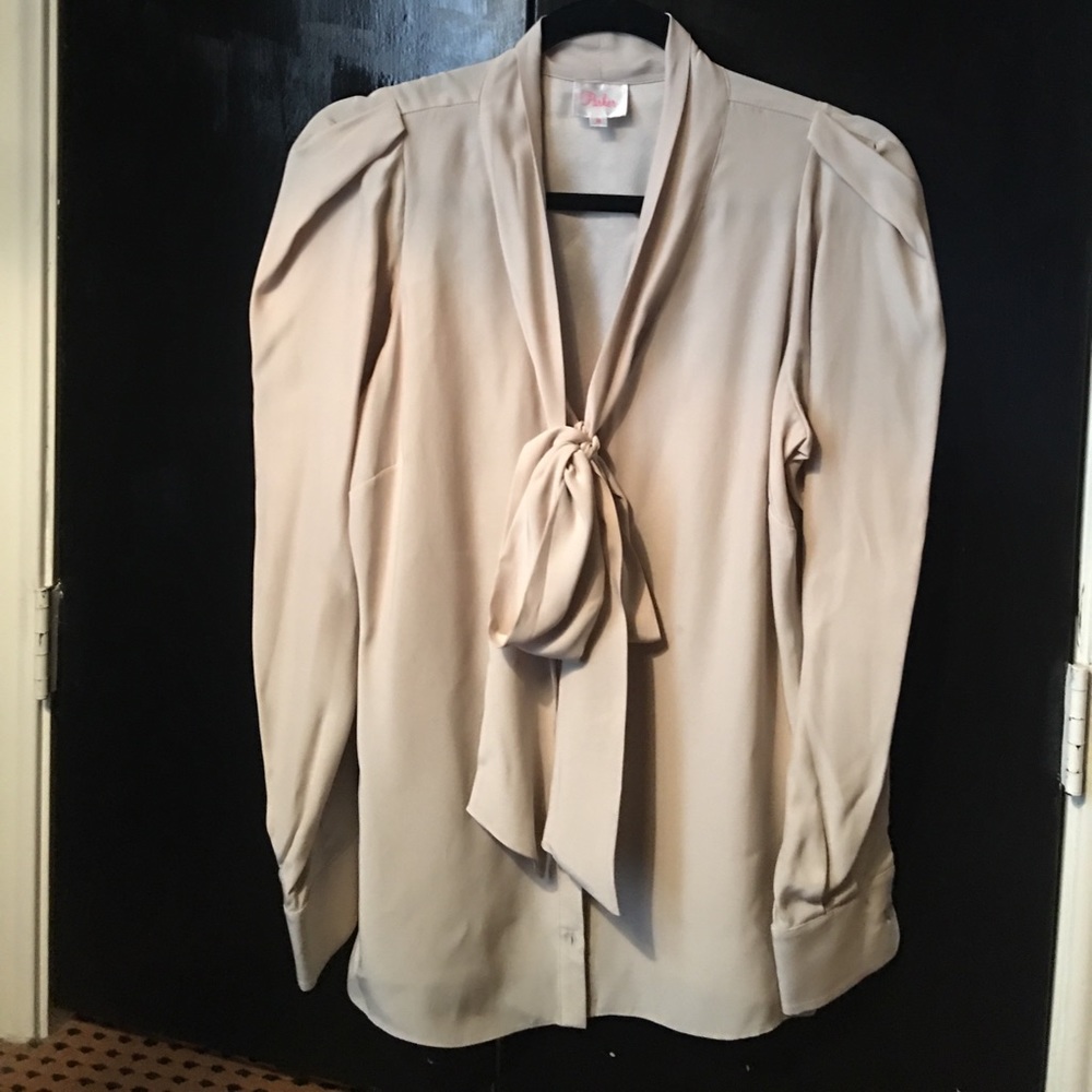 Parker puffy sleeve, tie neck silk blouse