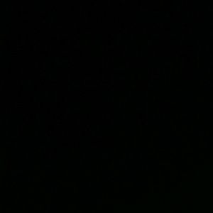 Meet your Posher, Bridgett