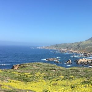 Meet your Posher, Alliso