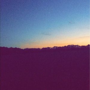 Meet your Posher, Beau