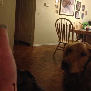 Meet your Posher, Dan