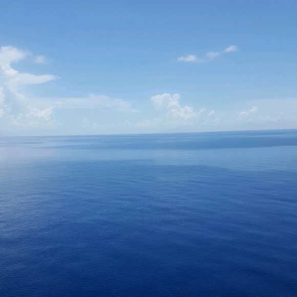 Meet your Posher, Lisa - Picture 1 of 1